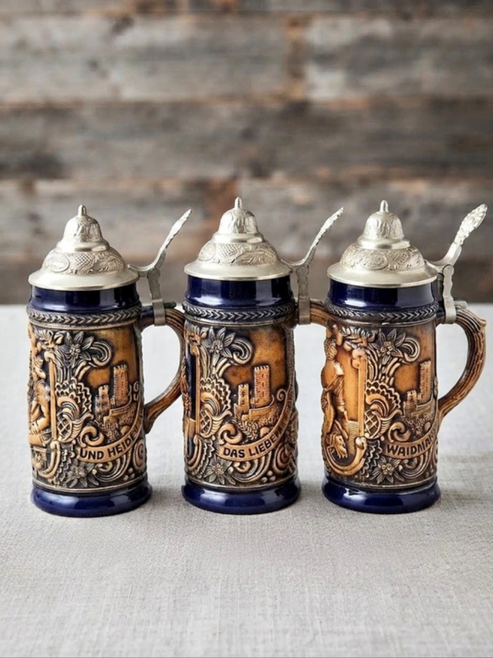 Thewalt Im Wald und auf der Heide Beer Stein Set of 3 Blue & Brown